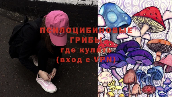 метадон Аркадак