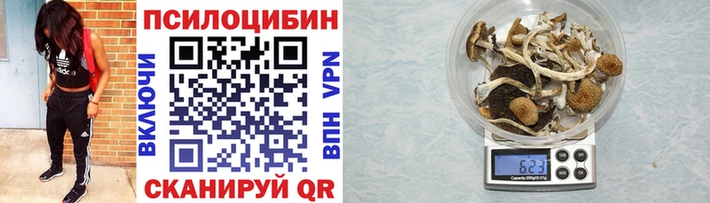 Псилоцибиновые грибы MAGIC MUSHROOMS Соль-Илецк
